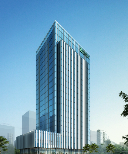杉木皮表面处理技术：从染色到涂装的完整工艺流程